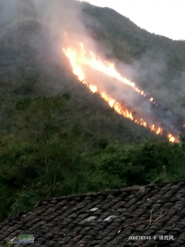 今天下午六点多钟左右，地州果广村布屯村旁发生山林火灾。 - 靖西网