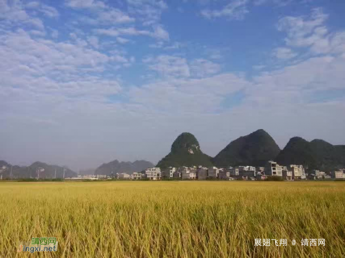 金秋十月，靖西的调色板，天然黄色调！ - 靖西网