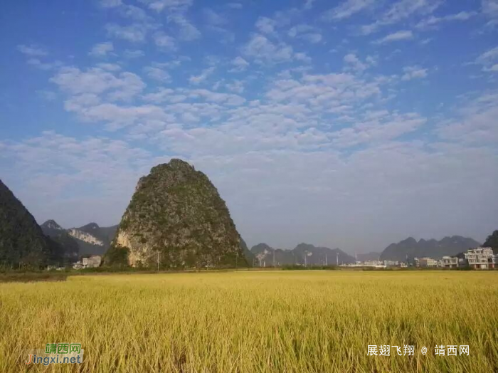 金秋十月，靖西的调色板，天然黄色调！ - 靖西网