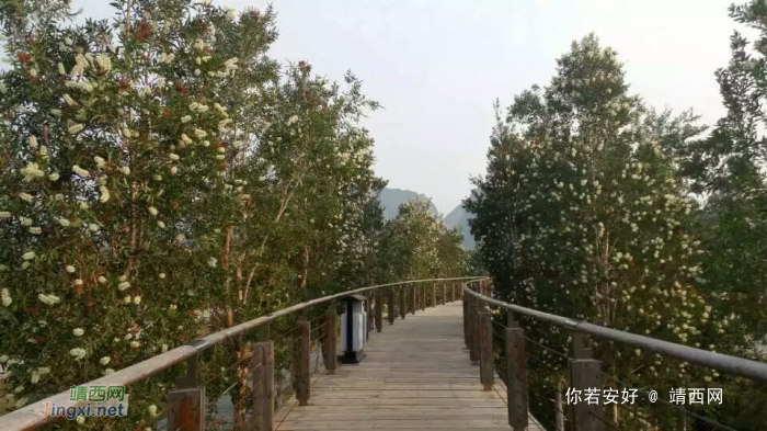 龙潭湿地公园美景，不一样的季节不一样的美！ - 靖西网