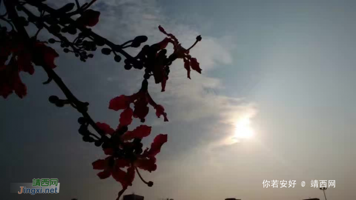 龙潭湿地公园美景，不一样的季节不一样的美！ - 靖西网