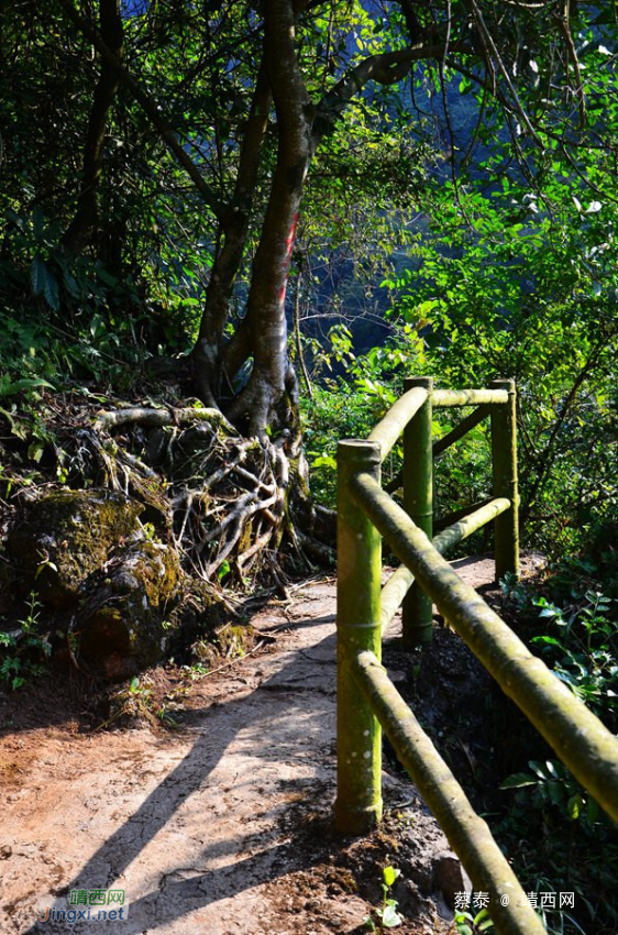 穿越峡谷溶洞，靖西古龙山景区徒步爽 - 靖西网