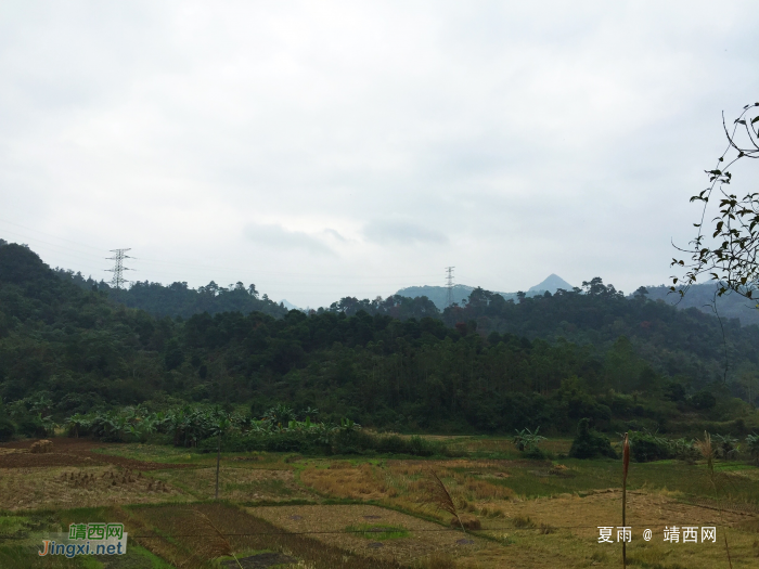 细雨漫天风生寒，山中树叶半青黄。今朝立冬天渐冷，他日雪里梅花. - 靖西网