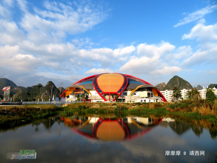 靖西大绣球冬景 - 靖西网