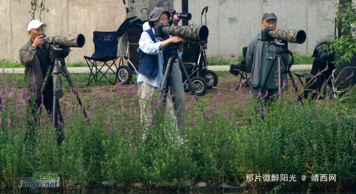 “长枪重炮”等候着！ - 靖西网