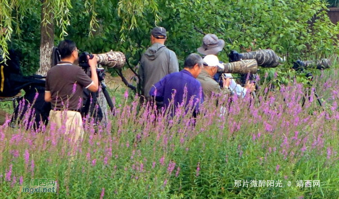 “长枪重炮”等候着！ - 靖西网