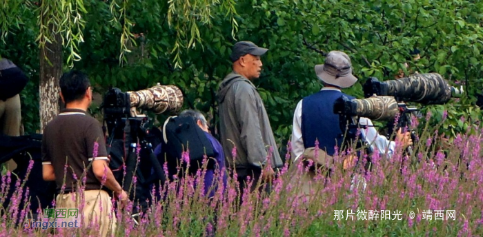 “长枪重炮”等候着！ - 靖西网