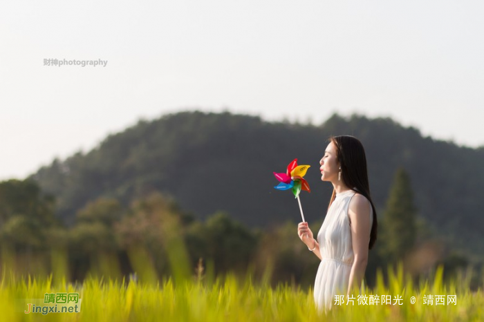 人生若只如初见 何事秋风悲画扇 - 靖西网