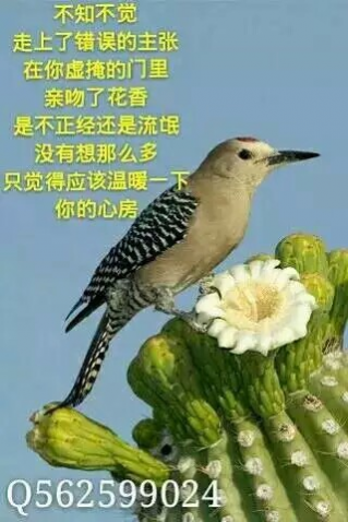 一首情歌虽然好听但有谁能懂真含义----(七彩神笔原创)我相信自. - 靖西网 一首情歌虽然好听但有谁能懂真含义----(七彩神笔原创)我相信自. - 靖西网