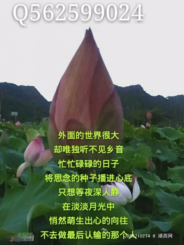岁月轮回的风景可否绚丽一生……(七彩神笔原创) - 靖西网 岁月轮回的风景可否绚丽一生……(七彩神笔原创) - 靖西网