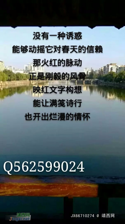 用爱书写心灵--(七彩神笔原创)我在生活的海洋里徜徉享受自然赐. - 靖西网 用爱书写心灵--(七彩神笔原创)我在生活的海洋里徜徉享受自然赐. - 靖西网