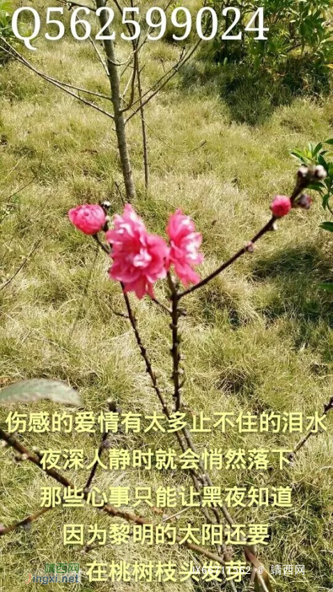 汉江神2001-4-215:54烟----（七彩神笔）[attachment=32225]吸. - 靖西网