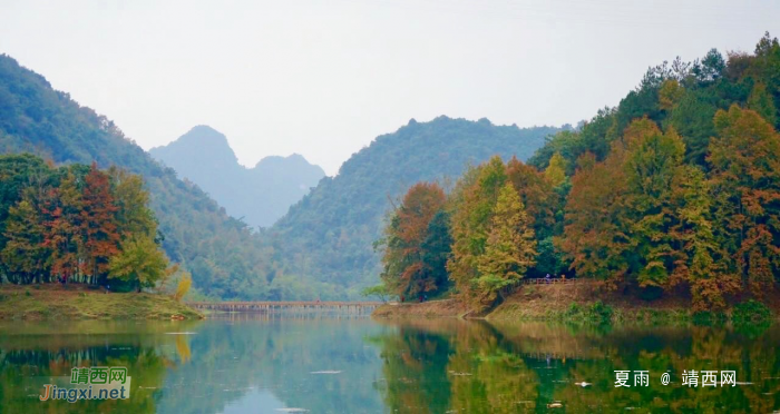 德保红枫森林公园：一年一度秋风劲，又见满山枫叶红。 - 靖西网