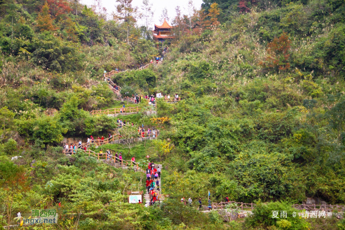 德保红枫森林公园：一年一度秋风劲，又见满山枫叶红。 - 靖西网