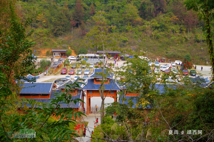 德保红枫森林公园：一年一度秋风劲，又见满山枫叶红。 - 靖西网