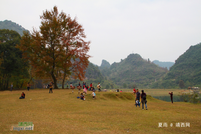 德保红枫森林公园：一年一度秋风劲，又见满山枫叶红。 - 靖西网