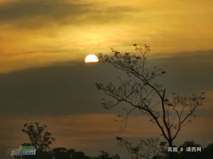 树梢上的太阳 - 靖西网