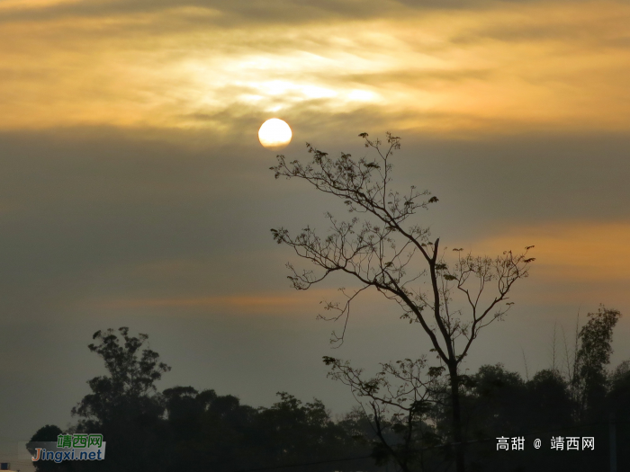 树梢上的太阳 - 靖西网