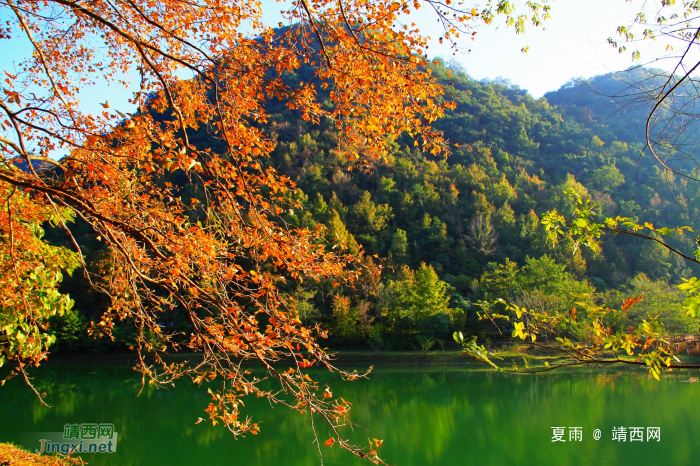 秋山斜阳照，霜叶红似火。 - 靖西网