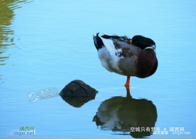 这不是童话世界,这是靖西！ - 靖西网