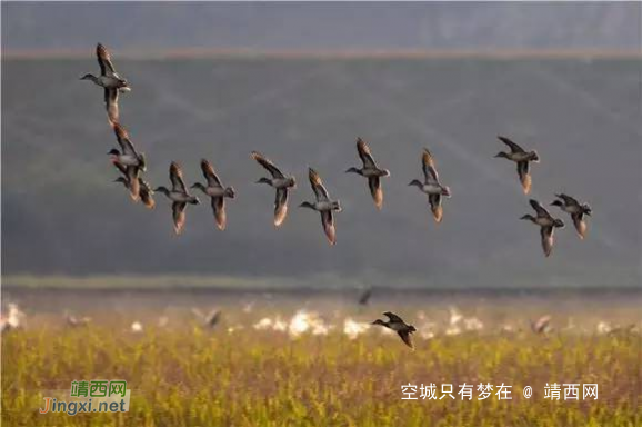 这不是童话世界,这是靖西！ - 靖西网