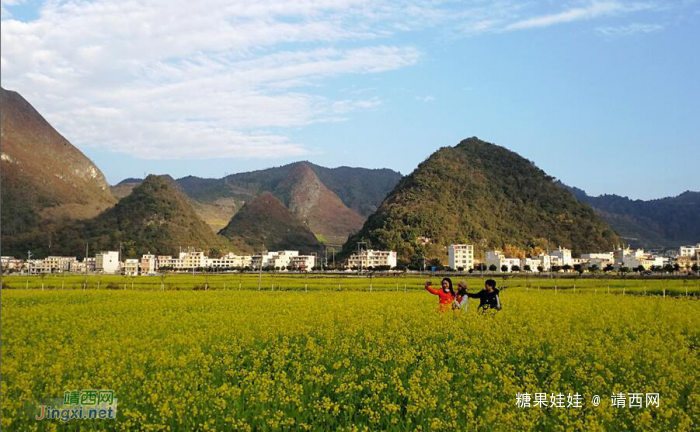 乐业县五万亩油菜花开盛似画卷 - 靖西网