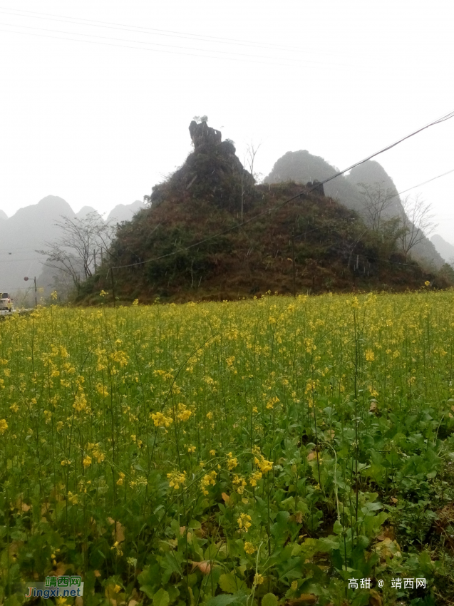 雨天 - 靖西网 - 第2页