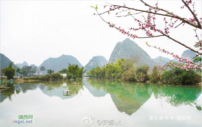 靖西：十里桃花开，三生三世 - 靖西网