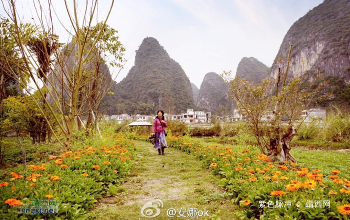 靖西：十里桃花开，三生三世 - 靖西网