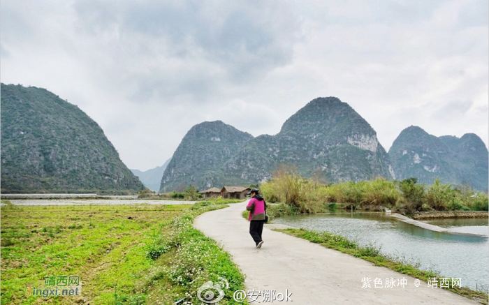 靖西：十里桃花开，三生三世 - 靖西网