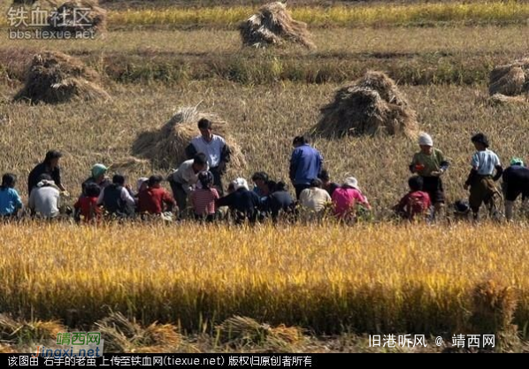 实拍朝鲜农村的真实生活场景，有没有熟悉感？ - 靖西网