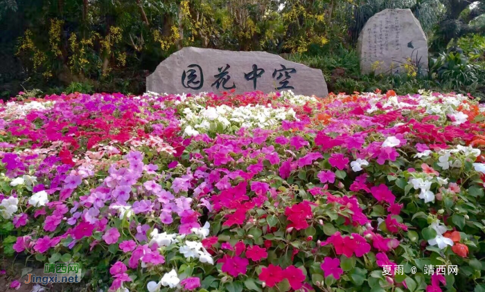 南宁青秀山兰花美景。青秀山的兰花园，是园艺现代化的体现 - 靖西网