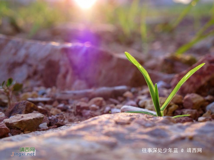 你知道比发泄愤怒更可怕的是什么吗? - 靖西网 你知道比发泄愤怒更可怕的是什么吗? - 靖西网