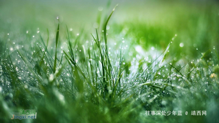 你知道比发泄愤怒更可怕的是什么吗? - 靖西网 你知道比发泄愤怒更可怕的是什么吗? - 靖西网