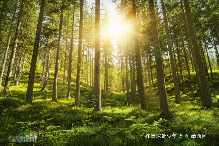 恋爱六年以上分手是一种怎样的体验? - 靖西网 恋爱六年以上分手是一种怎样的体验? - 靖西网