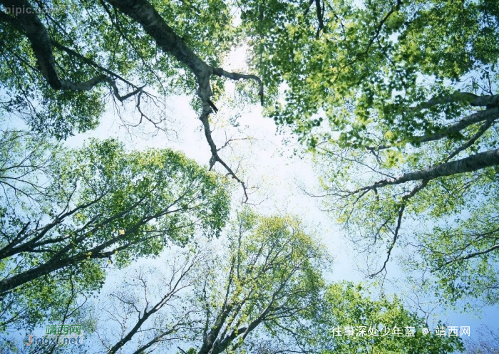 恋爱六年以上分手是一种怎样的体验? - 靖西网 恋爱六年以上分手是一种怎样的体验? - 靖西网