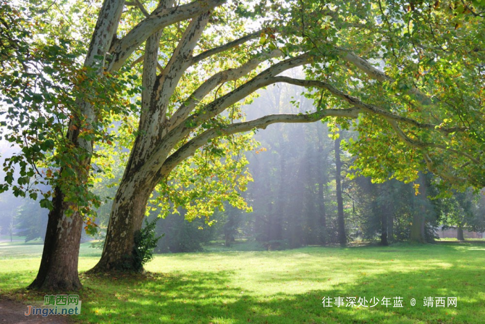 恋爱六年以上分手是一种怎样的体验? - 靖西网 恋爱六年以上分手是一种怎样的体验? - 靖西网