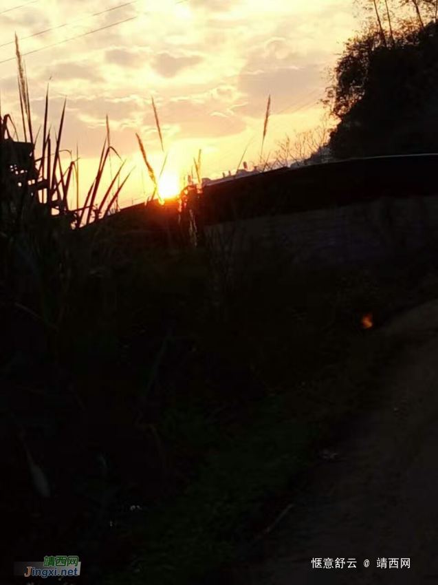 靖西山村早上的阳光 - 靖西网