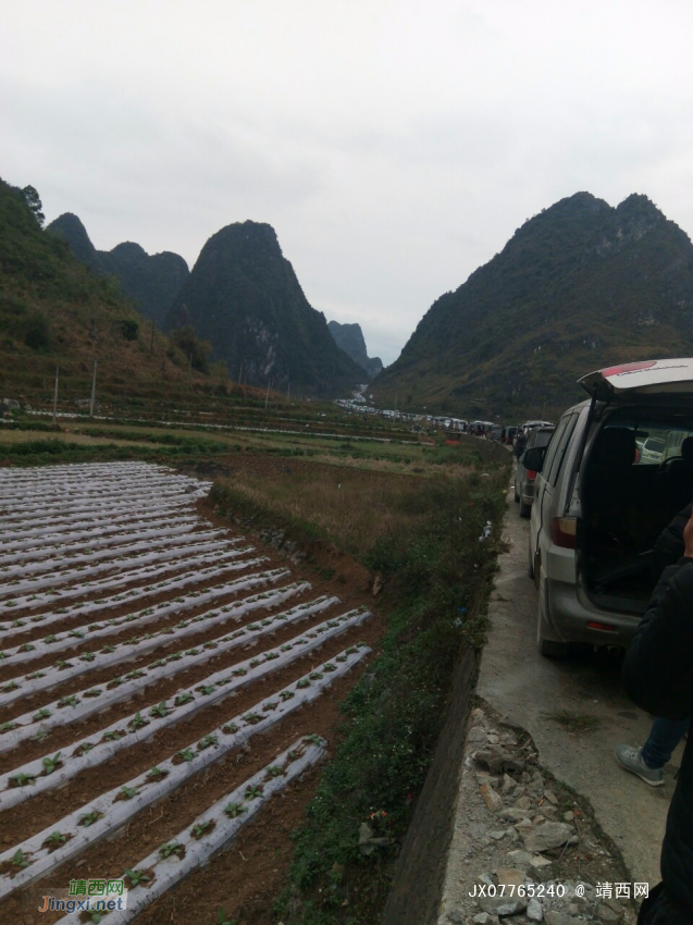 昨日壬庄街掠景，一年一度的壬庄街航单 - 靖西网