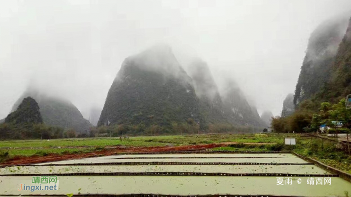 春分纤纤如絲纷纷雨，最是一年好春时。草青泥湿燕低飞，风和花艳 - 靖西网