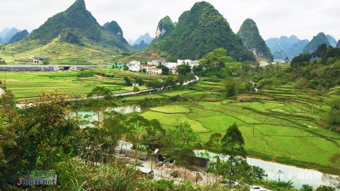 又是一年芳草绿，故乡遍地皆为春。 - 靖西网