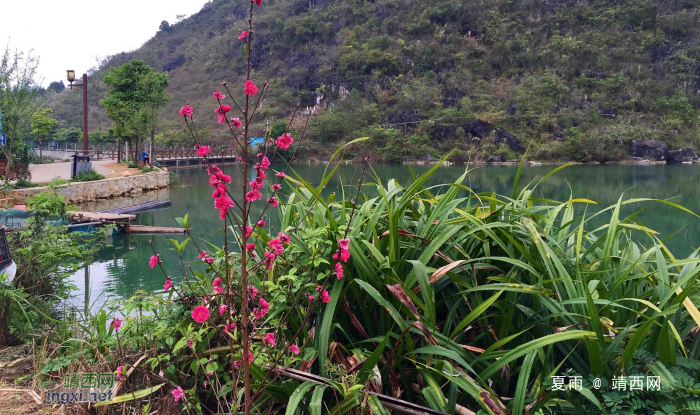 绿野芳草沐春雨，耕夫犁土种田忙。 - 靖西网