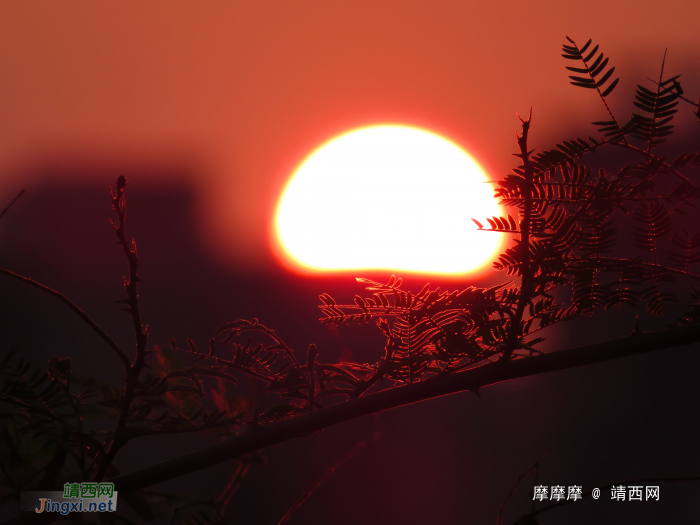 夕阳下，龙潭多美！ - 靖西网