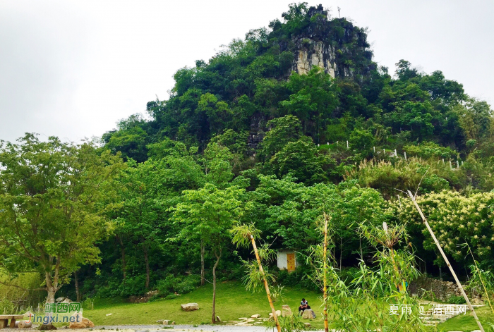 几枝新叶翠翠竹，一座太极青青山。靖西太极山太极公园 - 靖西网