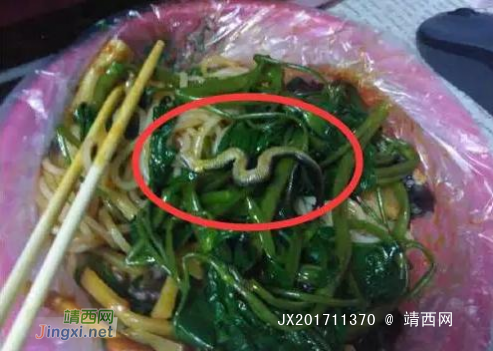 广西大学生螺蛳粉里吃出蛇，涉事粉店已停业 - 靖西网