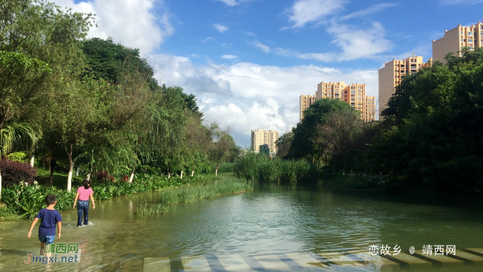 浪漫的夏季_靖西龙潭河岸景色。 - 靖西网