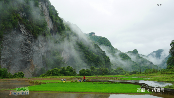 雨过天晴云雾轻,雨后的靖西山村宛若仙境,靖西特有 - 靖西网