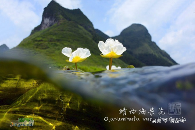 夕阳映龙潭 - 靖西网