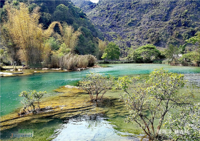 靖西三大景：龙潭，旧州，鹅泉 - 靖西网