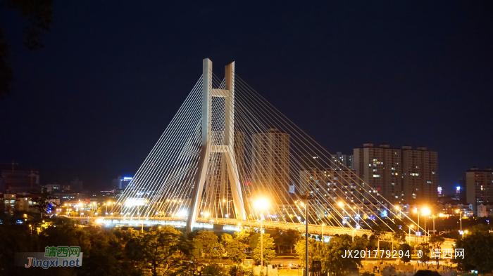 百色沙滩公园夜景 - 靖西网